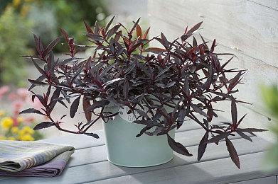 3DM速报：腾讯游戏未成年寒假最多玩14小时 战神登顶Steam周销榜