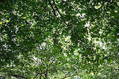 《赵云传：云汉腾龙》Steam首发评价褒贬不一